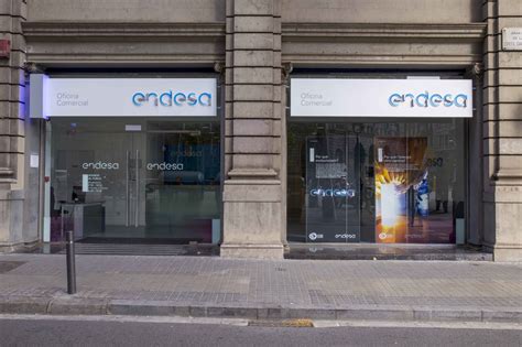 endesa camino cabaldos|Oficinas de Endesa 